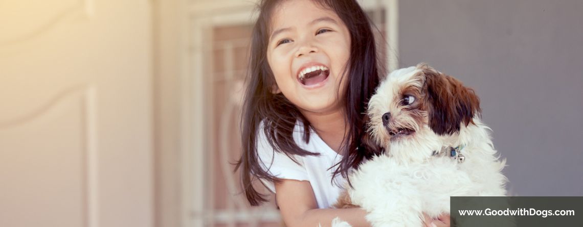 Shih Tzu : Sont-ils bons avec les enfants ?